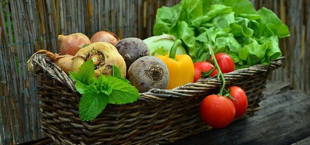 Które warzywa powinieneś włączyć do swojej diety latem?