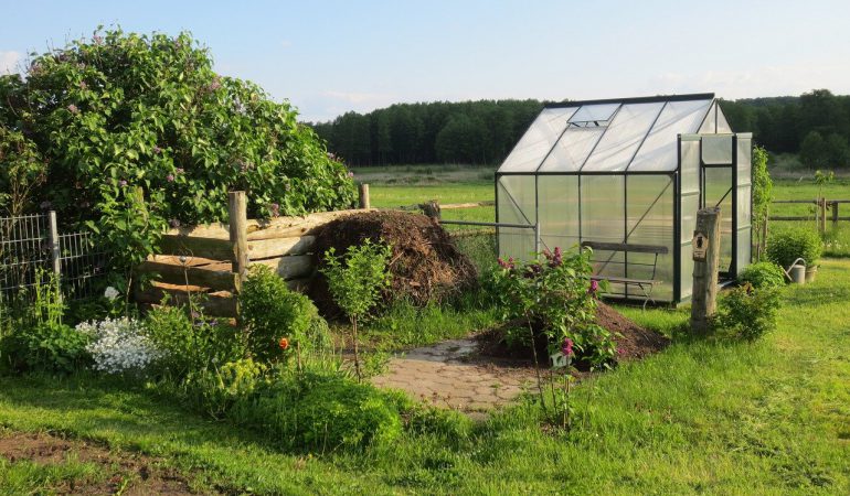Co warto zasiać w ogródku warzywnym?