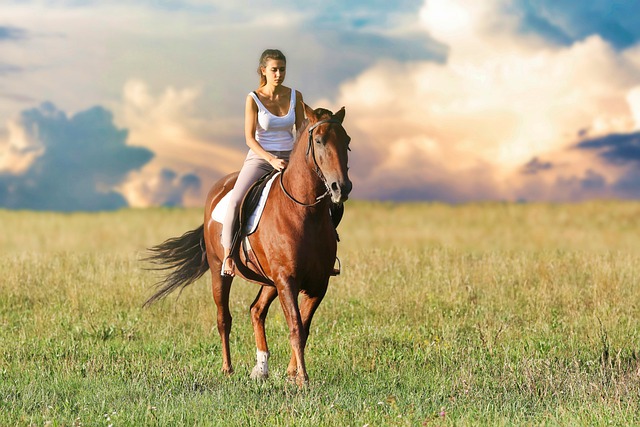 Gdy dobro zwierząt to priorytet – blog Eggersmann dla kochających konie