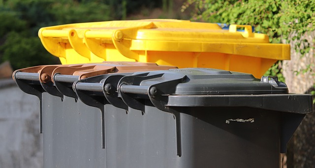 Jak powinno wyglądać segregowanie śmieci w każdym gospodarstwie domowym?